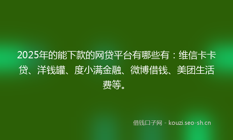 2025年的能下款的网贷平台有哪些有：维信卡卡贷、洋钱罐、度小满金融、微博借钱、美团生活费等。