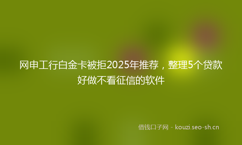 网申工行白金卡被拒2025年推荐，整理5个贷款好做不看征信的软件