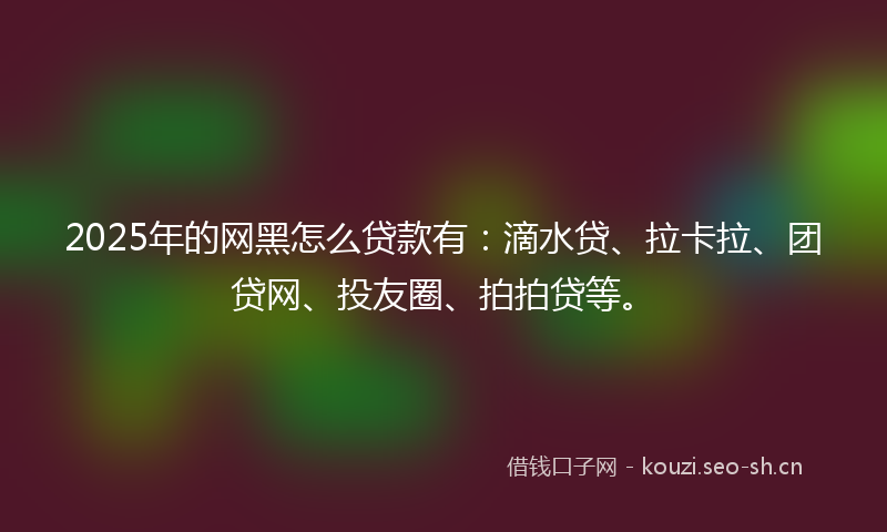 2025年的网黑怎么贷款有：滴水贷、拉卡拉、团贷网、投友圈、拍拍贷等。
