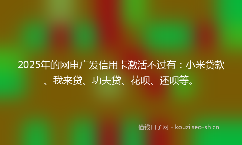 2025年的网申广发信用卡激活不过有:小米贷款、我来贷、功夫贷、花呗、还呗等。