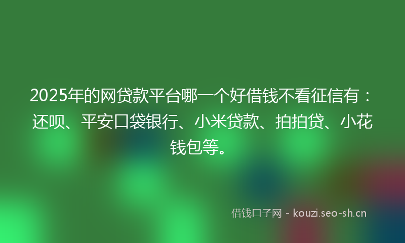2025年的网贷款平台哪一个好借钱不看征信有：还呗、平安口袋银行、小米贷款、拍拍贷、小花钱包等。