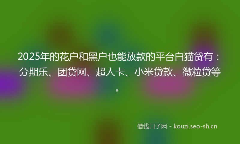 2025年的花户和黑户也能放款的平台白猫贷有：分期乐、团贷网、超人卡、小米贷款、微粒贷等。