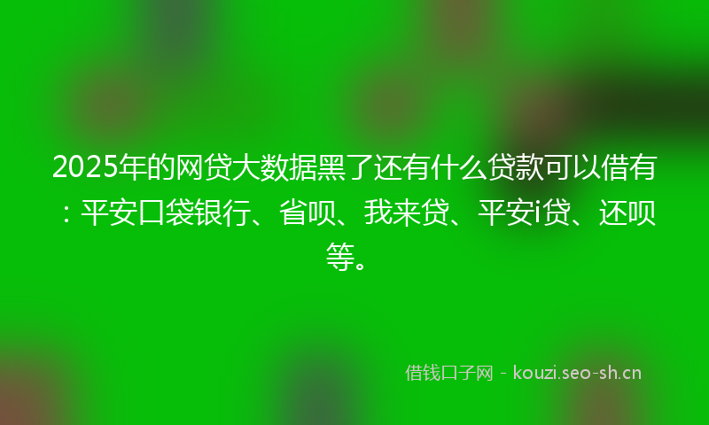 2025年的网贷大数据黑了还有什么贷款可以借有：平安口袋银行、省呗、我来贷、平安i贷、还呗等。