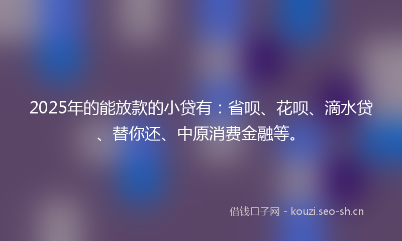 2025年的能放款的小贷有：省呗、花呗、滴水贷、替你还、中原消费金融等。