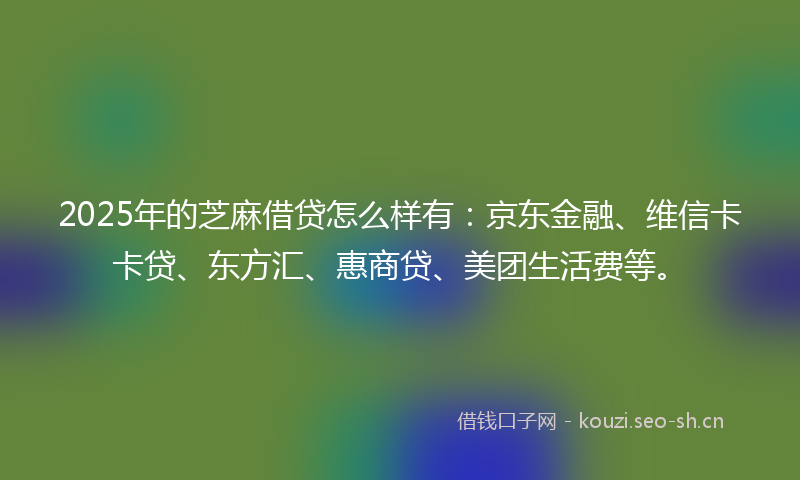 2025年的芝麻借贷怎么样有：京东金融、维信卡卡贷、东方汇、惠商贷、美团生活费等。