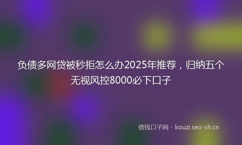 负债多网贷被秒拒怎么办2025年推荐,归纳五个无视风控8000必下口子
