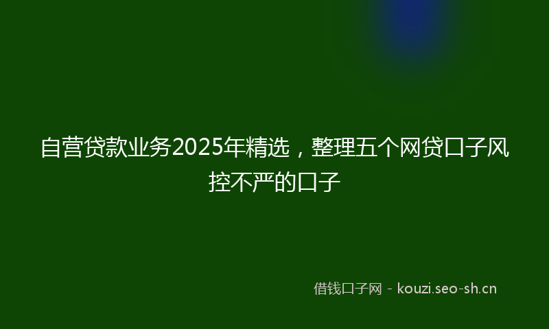 自营贷款业务2025年精选，整理五个网贷口子风控不严的口子