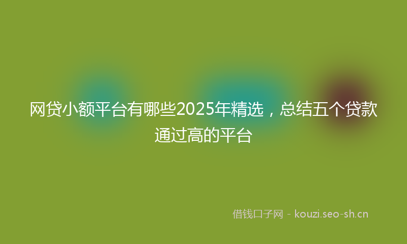 网贷小额平台有哪些2025年精选，总结五个贷款通过高的平台