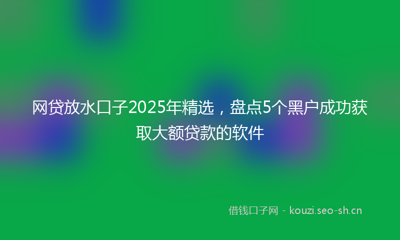 网贷放水口子2025年精选，盘点5个黑户成功获取大额贷款的软件