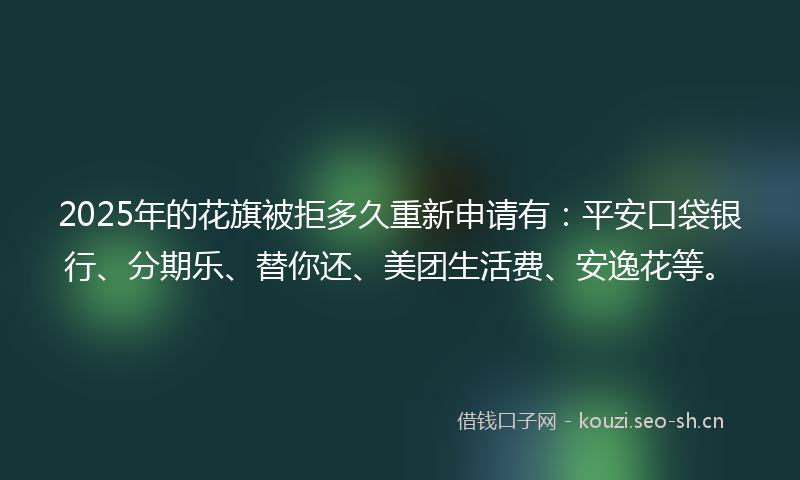 2025年的花旗被拒多久重新申请有：平安口袋银行、分期乐、替你还、美团生活费、安逸花等。