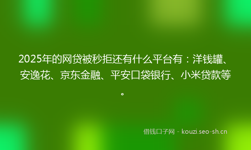 2025年的网贷被秒拒还有什么平台有：洋钱罐、安逸花、京东金融、平安口袋银行、小米贷款等。