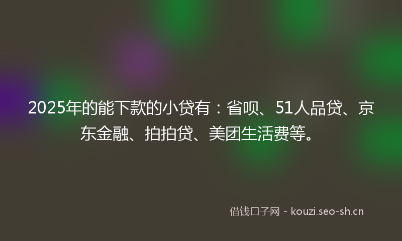 2025年的能下款的小贷有：省呗、51人品贷、京东金融、拍拍贷、美团生活费等。