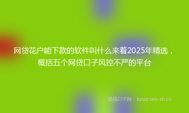 网贷花户能下款的软件叫什么来着2025年精选，概括五个网贷口子风控不严的平台