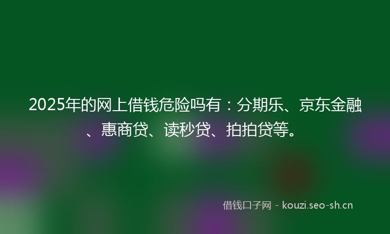2025年的网上借钱危险吗有：分期乐、京东金融、惠商贷、读秒贷、拍拍贷等。