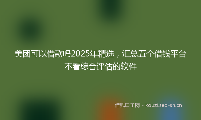美团可以借款吗2025年精选，汇总五个借钱平台不看综合评估的软件