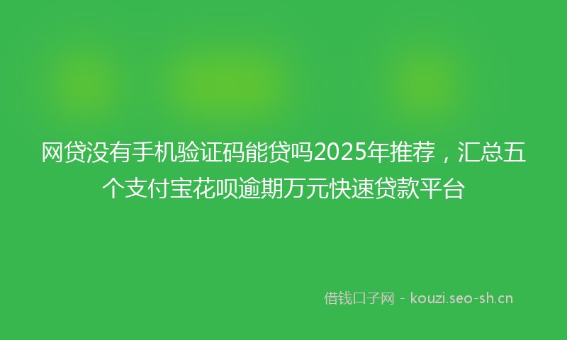 网贷没有手机验证码能贷吗2025年推荐，汇总五个支付宝花呗逾期万元快速贷款平台