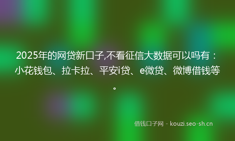 2025年的网贷新口子,不看征信大数据可以吗有：小花钱包、拉卡拉、平安i贷、e微贷、微博借钱等。