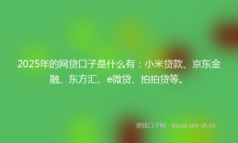 2025年的网贷口子是什么有：小米贷款、京东金融、东方汇、e微贷、拍拍贷等。