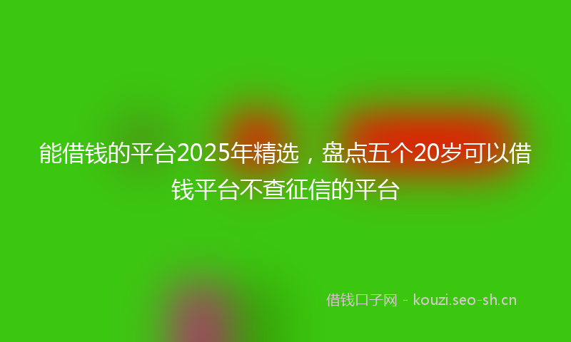 能借钱的平台2025年精选，盘点五个20岁可以借钱平台不查征信的平台