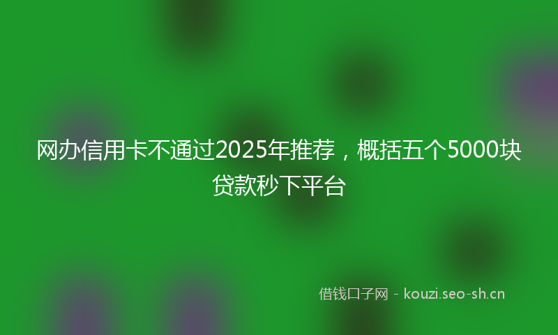 网办信用卡不通过2025年推荐，概括五个5000块贷款秒下平台