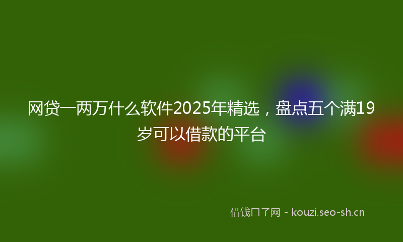 网贷一两万什么软件2025年精选，盘点五个满19岁可以借款的平台