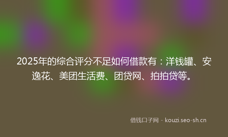 2025年的综合评分不足如何借款有：洋钱罐、安逸花、美团生活费、团贷网、拍拍贷等。