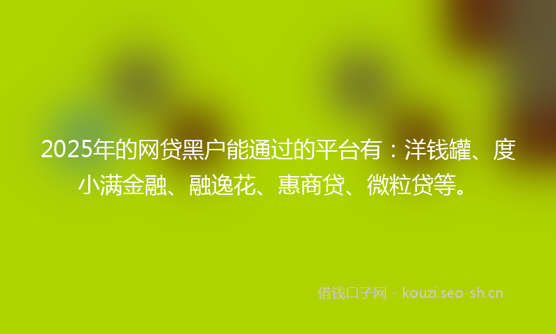 2025年的网贷黑户能通过的平台有：洋钱罐、度小满金融、融逸花、惠商贷、微粒贷等。