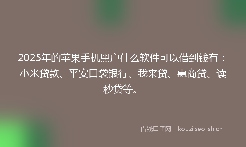 2025年的苹果手机黑户什么软件可以借到钱有：小米贷款、平安口袋银行、我来贷、惠商贷、读秒贷等。