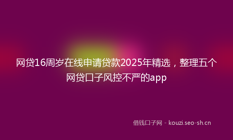 网贷16周岁在线申请贷款2025年精选，整理五个网贷口子风控不严的app