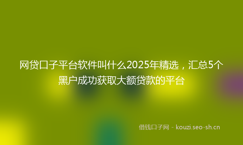 网贷口子平台软件叫什么2025年精选，汇总5个黑户成功获取大额贷款的平台