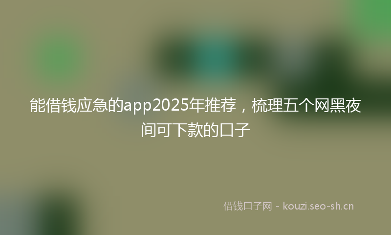 能借钱应急的app2025年推荐，梳理五个网黑夜间可下款的口子
