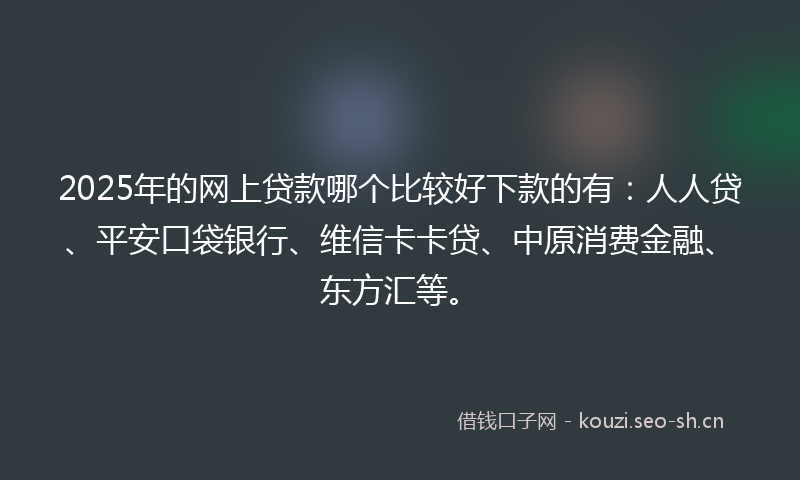 2025年的网上贷款哪个比较好下款的有：人人贷、平安口袋银行、维信卡卡贷、中原消费金融、东方汇等。