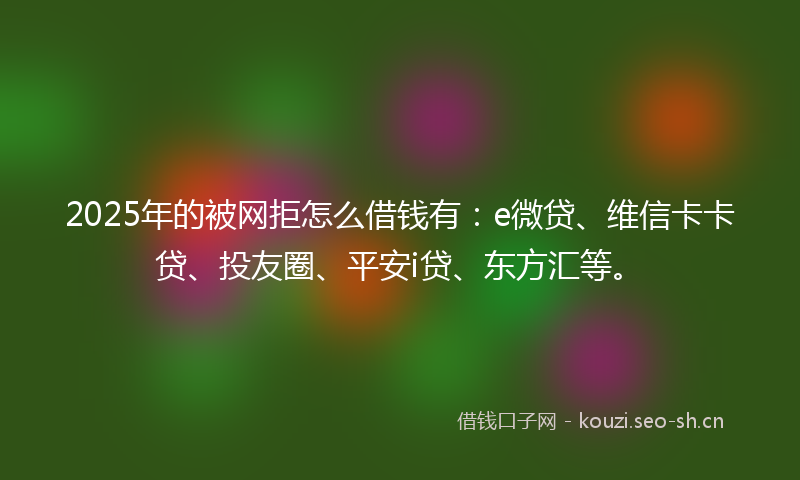2025年的被网拒怎么借钱有：e微贷、维信卡卡贷、投友圈、平安i贷、东方汇等。