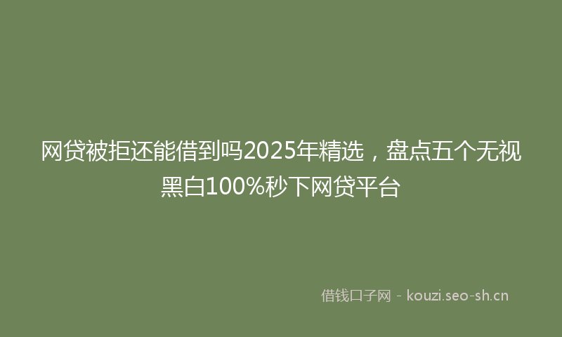 网贷被拒还能借到吗2025年精选，盘点五个无视黑白100%秒下网贷平台