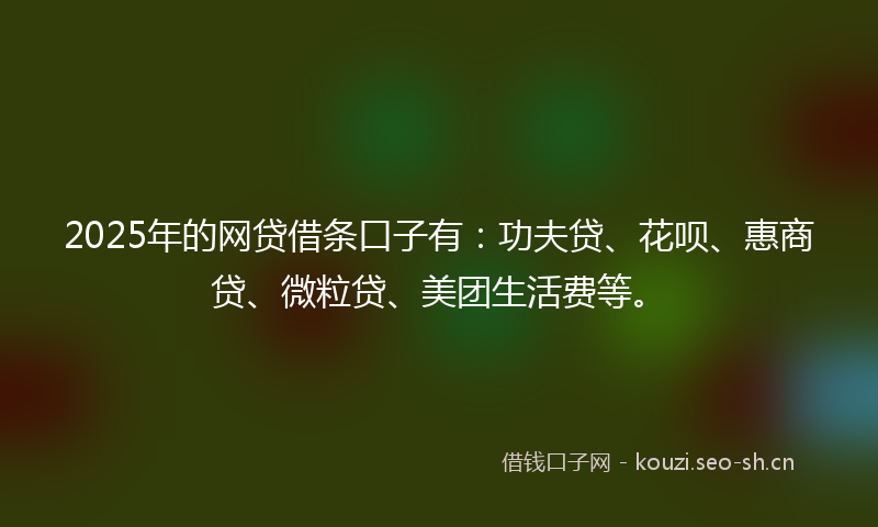 2025年的网贷借条口子有：功夫贷、花呗、惠商贷、微粒贷、美团生活费等。