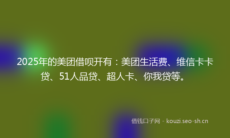 2025年的美团借呗开有：美团生活费、维信卡卡贷、51人品贷、超人卡、你我贷等。