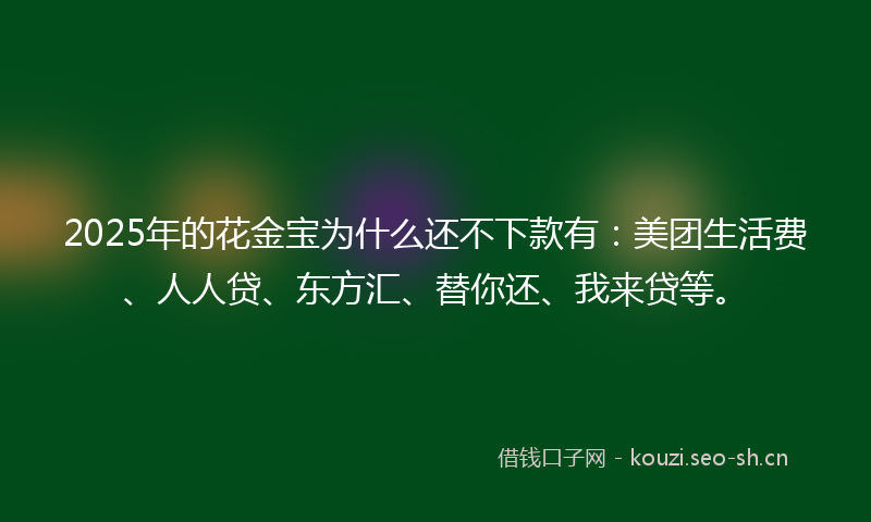 2025年的花金宝为什么还不下款有：美团生活费、人人贷、东方汇、替你还、我来贷等。