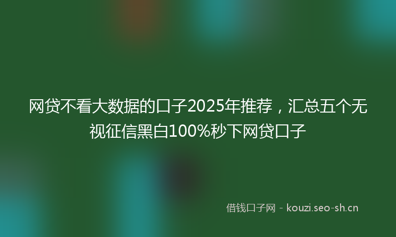 网贷不看大数据的口子2025年推荐，汇总五个无视征信黑白100%秒下网贷口子