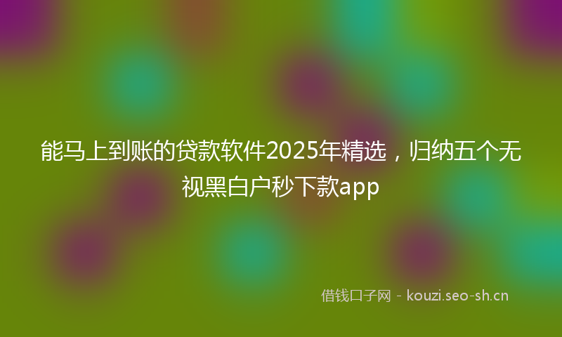 能马上到账的贷款软件2025年精选，归纳五个无视黑白户秒下款app