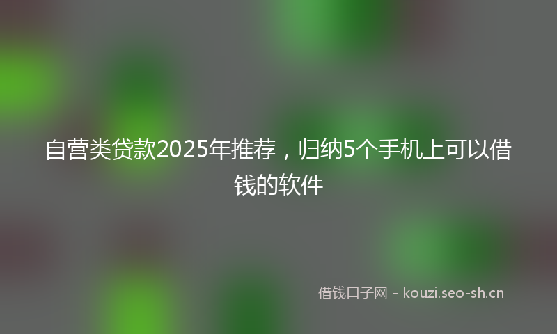 自营类贷款2025年推荐，归纳5个手机上可以借钱的软件