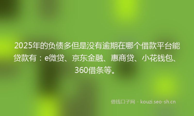 2025年的负债多但是没有逾期在哪个借款平台能贷款有：e微贷、京东金融、惠商贷、小花钱包、360借条等。