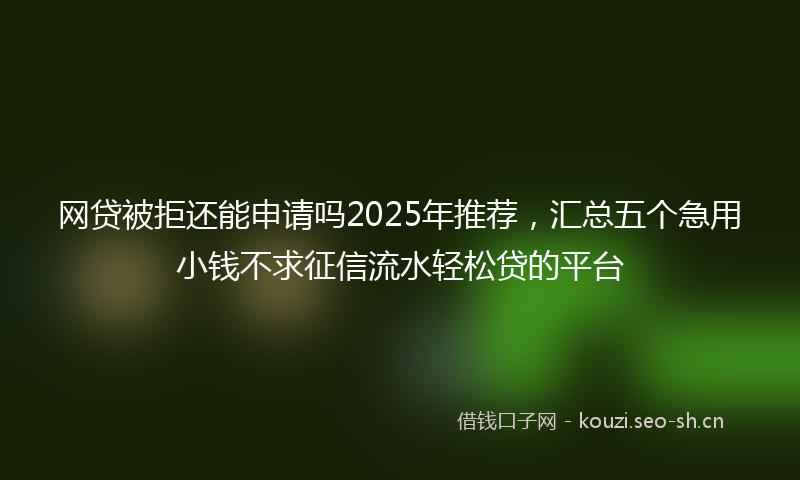网贷被拒还能申请吗2025年推荐，汇总五个急用小钱不求征信流水轻松贷的平台