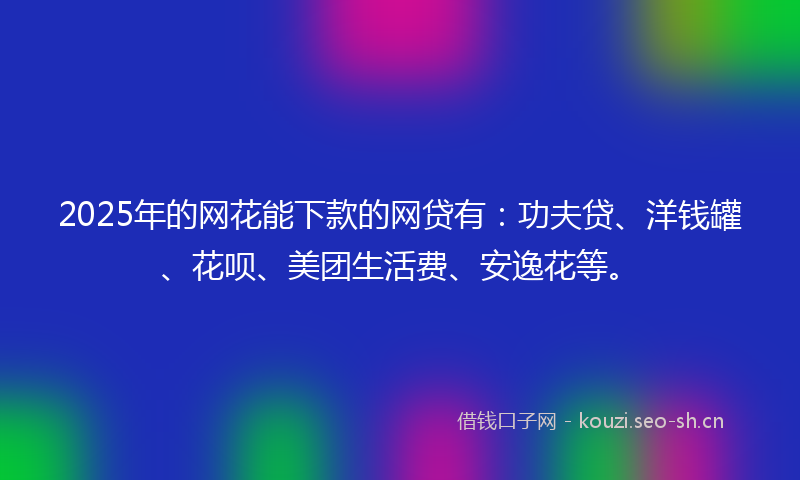 2025年的网花能下款的网贷有：功夫贷、洋钱罐、花呗、美团生活费、安逸花等。