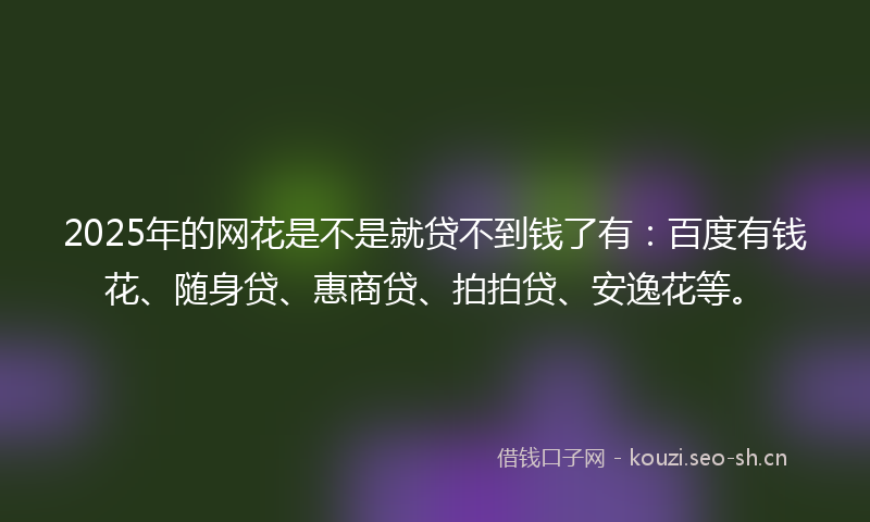 2025年的网花是不是就贷不到钱了有：百度有钱花、随身贷、惠商贷、拍拍贷、安逸花等。