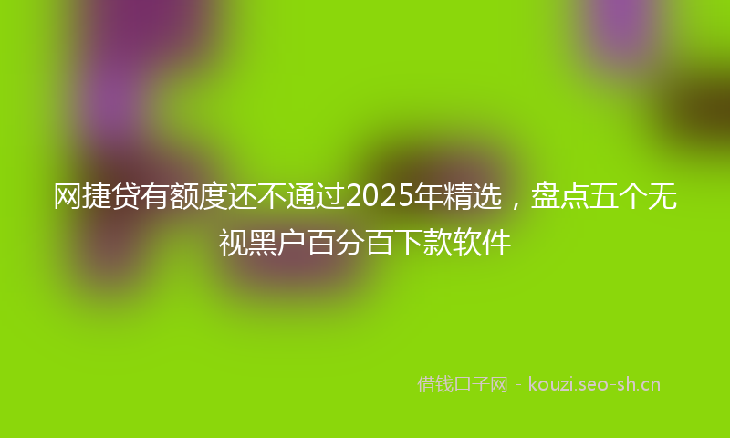 网捷贷有额度还不通过2025年精选，盘点五个无视黑户百分百下款软件
