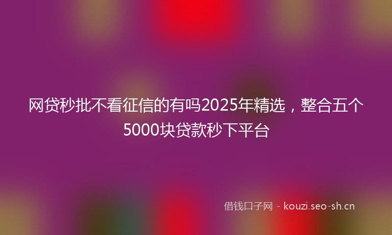 网贷秒批不看征信的有吗2025年精选，整合五个5000块贷款秒下平台
