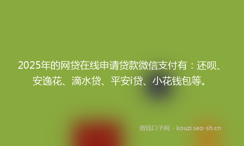 2025年的网贷在线申请贷款微信支付有：还呗、安逸花、滴水贷、平安i贷、小花钱包等。