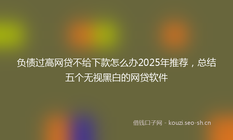 负债过高网贷不给下款怎么办2025年推荐，总结五个无视黑白的网贷软件
