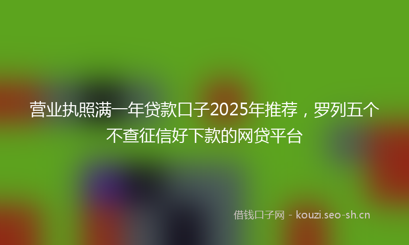 营业执照满一年贷款口子2025年推荐，罗列五个不查征信好下款的网贷平台
