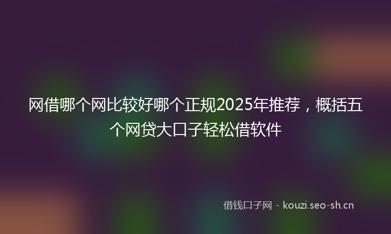 网借哪个网比较好哪个正规2025年推荐，概括五个网贷大口子轻松借软件